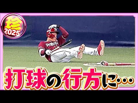 怪我のないよう…ボールの行方にご注意ください【珍プレー2025】