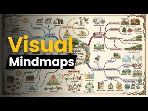 🔴 NotebookLM + Gemini → Stunning Infographics✨