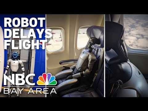 Robot passenger delays flight