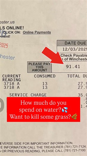 We haven’t used our sprinkler system during the last two years. Both years had droughts. I hate wasting time, water and money. This has worked very well in terms of cost savings. Our bills for water and sewer in 2025 were $91, $73, $75 and $79 and it was roughly the same in 2024. When there isn’t enough rain I water shrubs and trees I care about, as well as newly-establishing perennials, but leave the rest, including the grass. This extra watering has taken quite a bit of time since we’ve had tw
