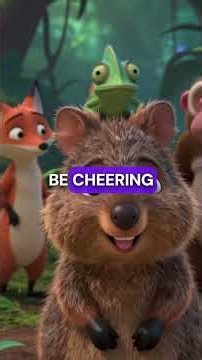 Baby Quokka's Smile Has No Off Switch 😂🐾