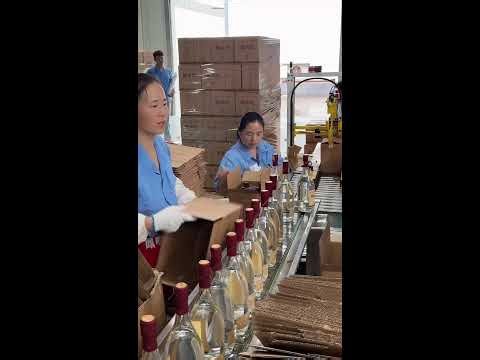 🎵🔴LIVE：The factory is packing the products. 2026-08-12