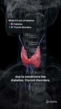 the endocrine system