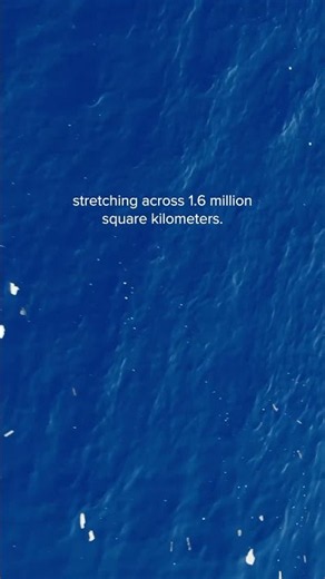 Footage of the Great Pacific Garbage Patch