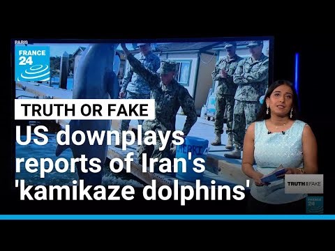 Could Iran use ‘kamikaze dolphins’ against the US in the Strait of Hormuz? • FRANCE 24 English