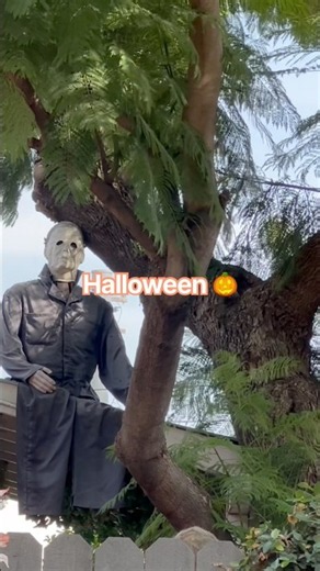 Halloween (1978) Scenes #halloween #michaelmyers #southpasadena