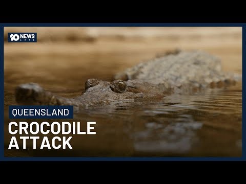 Man Bitten By Crocodile In North Queensland | 10 News