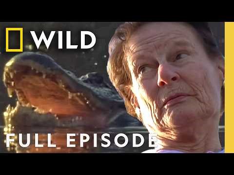Meet the Killers Among Us (Full Episode) | Hunter vs. Hunted | Nat Geo Animals