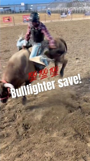 Jam up bullfighting