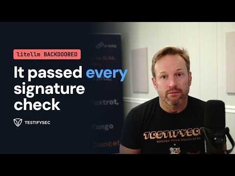 It passed every signature check: the litellm 1.107.0 backdoor, replayed