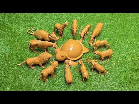 Giant Turtle Vs Farm Animals: Exploring Giant Animals from Farms, Jungles, & Zoo!