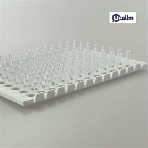 Core Knowledge Points of PCR Amplification