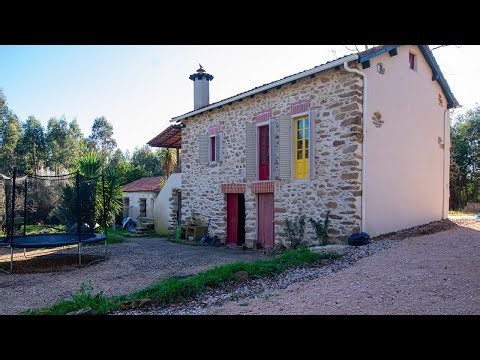 Off-Grid Forest Living in Portugal - Is This the Dream?