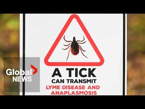 New tick-borne illness on the rise in Canada