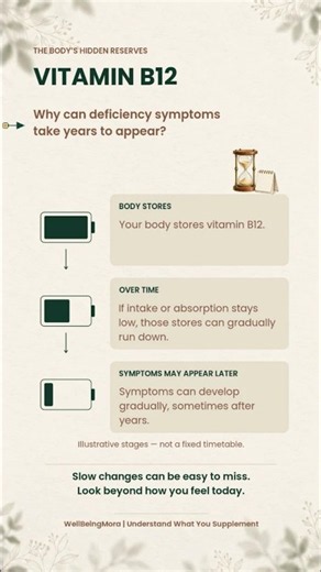 Why Can Vitamin B12 Deficiency Take Years to Show?