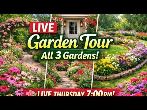 Sunset May Flower Garden Tour LIVE | Brenda’s Way, Horseshoe Garden & Front Door Garden