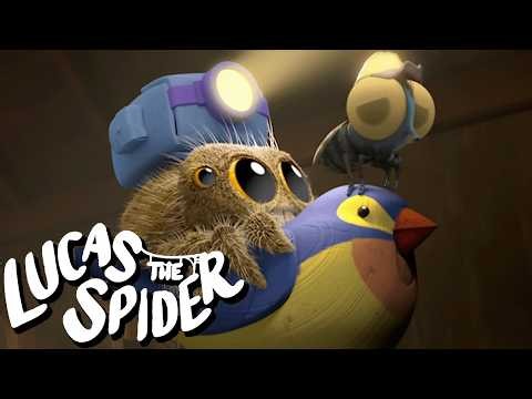 Findley Rescues Lucas The Spider | Kids Cartoons