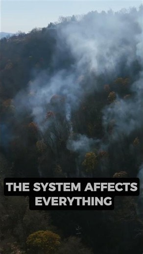 The Amazon’s Collapse Just Slowed #Atlas11#Amazon #Deforestation #Rainforest #Climate #Brasil