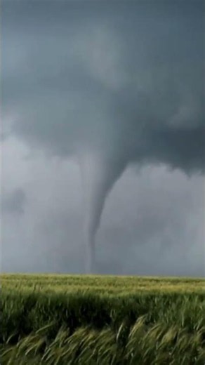 What happens inside a tornado? 🌪️ #tornado #weather #science