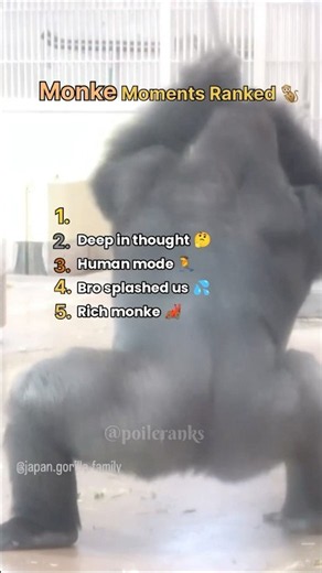 Monke Moments Ranked 🐒😂