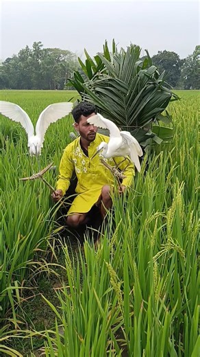 The Ultimate Heron Hunting Compilation