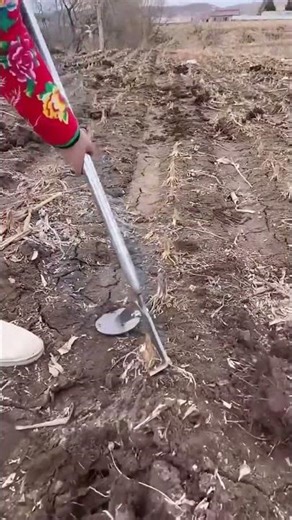 Removing process of crop root residues using innovative tools