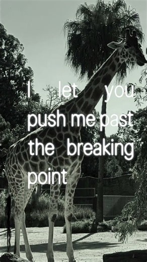 Roar lyrics - Katy Perry