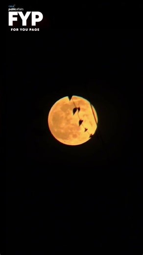 FULL HUNTER’S MOON, SUMILAY SA KALANGITAN NG BILIRAN | FYP