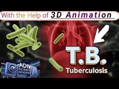 Tuberculosis (TB) Explained in 3D Animation | Causes, Symptoms, Prevention & Treatment