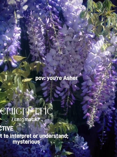 Asherrr!! The innocent little guy! Totally.🌷 Psst... join the server. Link; https://discord.gg/t9ZnWJt8D Asher: @✨️OneDiagonalTwix✨️ #cfm #consideredformercy #enigma #pov #wisteria