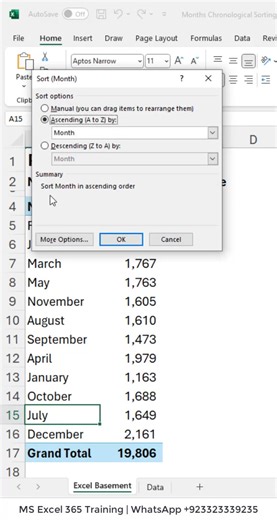Pivot Table | Months Chronological Sorting Issue #Excel | Excel Basement