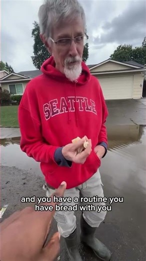 Ducks make themselves at home during street flooding in Roseville neighborhood