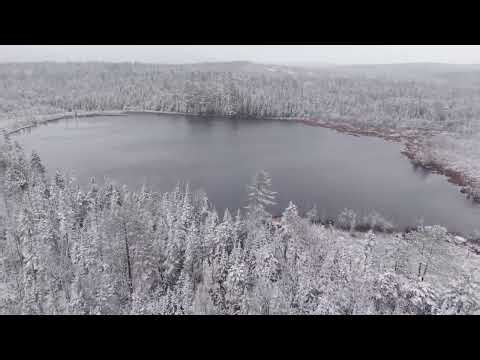 Snow-Covered Trees Create Picturesque Scene in Vermont