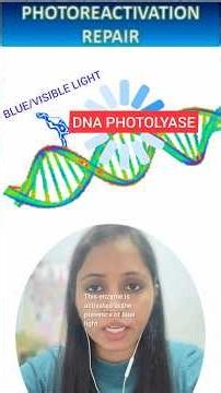 DNA Repair Systems #photoreactivation #assistantprofessorkaisebane #dna #dnarepair #shorts #1