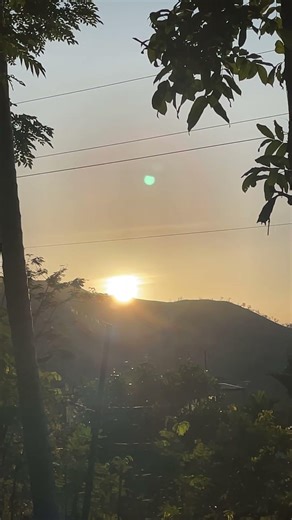 Live highlight Good Morning🏞️ #everyone🫰🏻#shorts #shortvideo #youtubeshorts #nature #rexbaglan ❤️