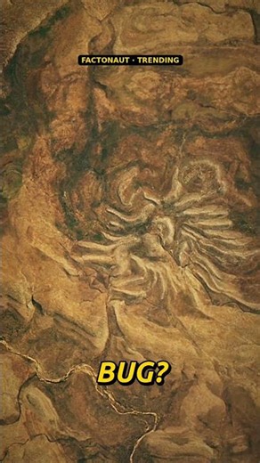 A 4 km "Spider" Is Hiding in the Australian Outback