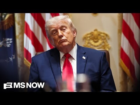 ‘Congress has to do its job’: Dem rep. calls Trump’s corruption ‘the root of all other challenges’