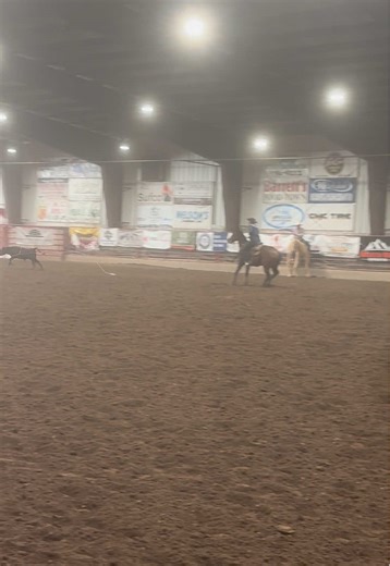 Slapped a big ugly neck loop on ‘em but at least the mare worked good 🤘🏻 #rodeotok #breakawayroper #fyp #utahstateuniversity #collegerodeo