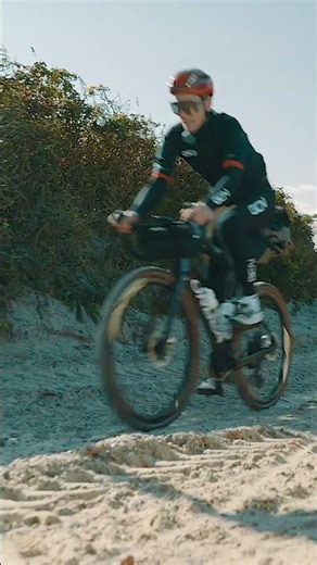 Can Ollie Handle Denmark's Beaches? 🏝️