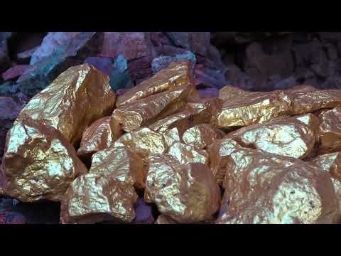 I found underground treasure buried for millions of years in the wild and made a fortune this time