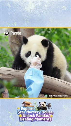 Tricked Again! Milk Bottle Never Fails | iPanda #shorts