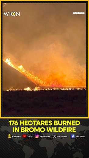 Indonesia Closes Mount Bromo National Park | Wildfire Spreads Across 176 Hectares in East Java