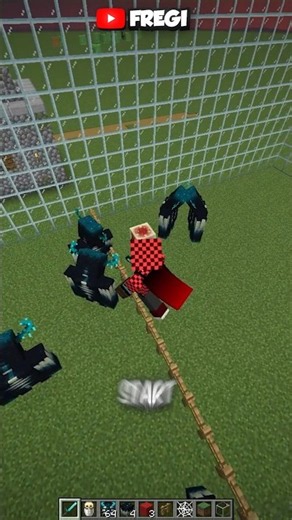 bolleyball in minecraft...