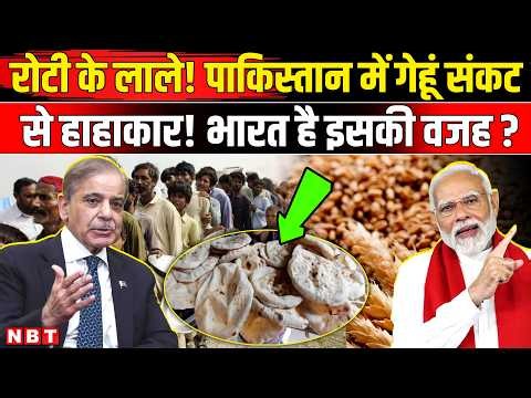 Pakistan Economic Crisis: क्या Indus Water Treaty Suspension से पाकिस्तान में बड़ी Wheat Crisis | NBT