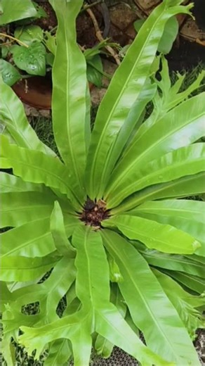 Being Happy feels Good... ❤️