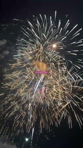 The Sky Literally Exploded! 🎇 The Most Epic July 4th Finale You’ll See Today 🇺🇸