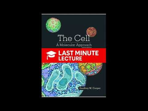 The Plasma Membrane & Molecular Transport | Chapter 15 – The Cell: A Molecular Approach (8th)