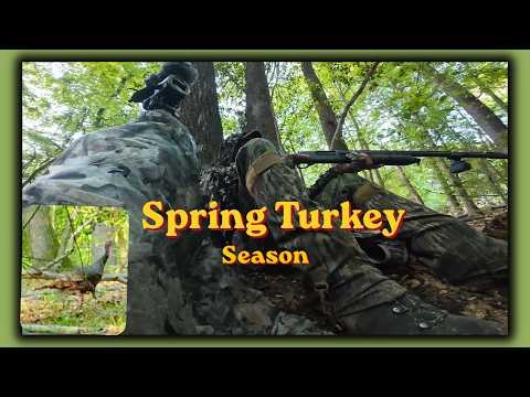 Maryland Public Land : Spring Turkey Season