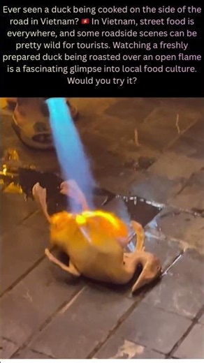 Crazy Vietnamese street food!