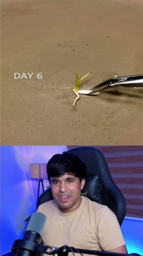 Growing Plant!